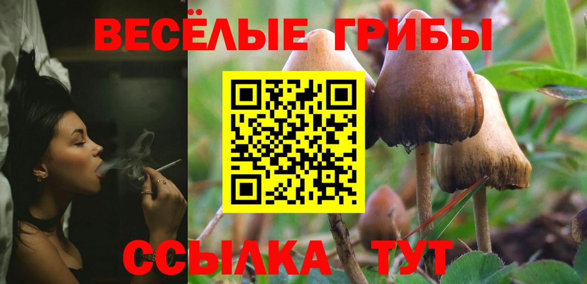 Псилоцибиновые грибы мицелий  Вход с VPN  Галлюциногенные грибы ЛСД  Бердск 